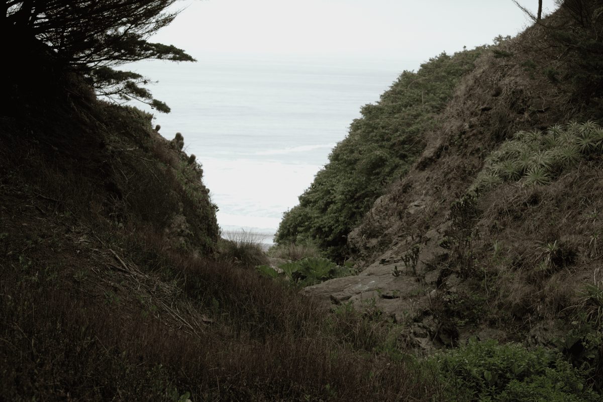 A coastal ravine with native vegetation running down to the sea in Cardenal Caro province