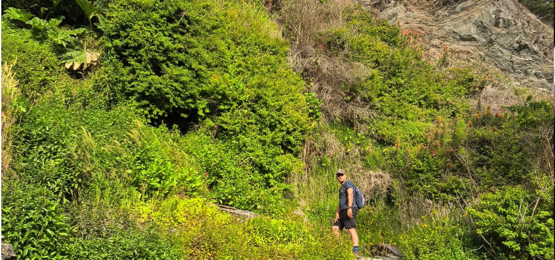 A field outing on a hillside with native coastal vegetation in the O'Higgins Region